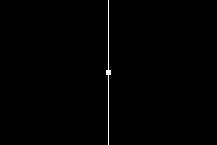 Screen capture of center line and ball being displayed
