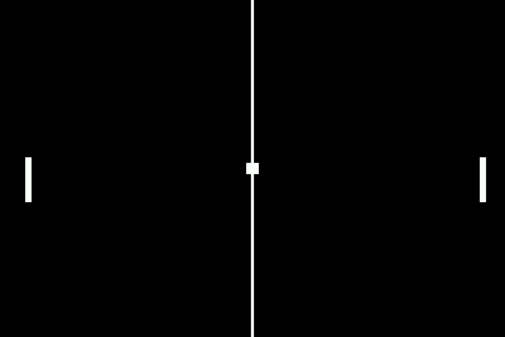 Screen capture of paddles being displayed